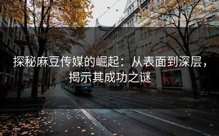 探秘麻豆传媒的崛起：从表面到深层，揭示其成功之谜  第1张