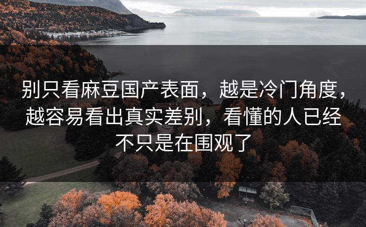别只看麻豆国产表面，越是冷门角度，越容易看出真实差别，看懂的人已经不只是在围观了  第1张