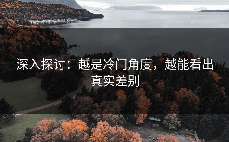 深入探讨：越是冷门角度，越能看出真实差别  第1张