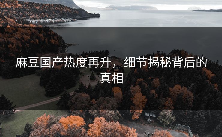 麻豆国产热度再升，细节揭秘背后的真相  第1张