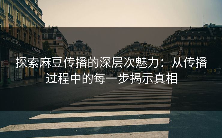 探索麻豆传播的深层次魅力：从传播过程中的每一步揭示真相  第1张