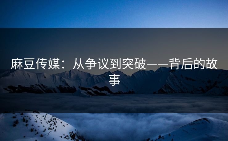 麻豆传媒：从争议到突破——背后的故事  第1张