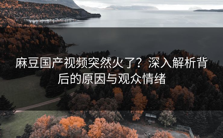 麻豆国产视频突然火了?深入解析背后的原因与观众情绪 第1张 麻豆国产视频突然火了?深入解析背后的原因与观众情绪 第1张