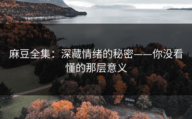 麻豆全集：深藏情绪的秘密——你没看懂的那层意义  第1张
